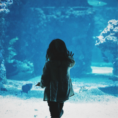 child watching a fish tank at an aquarium